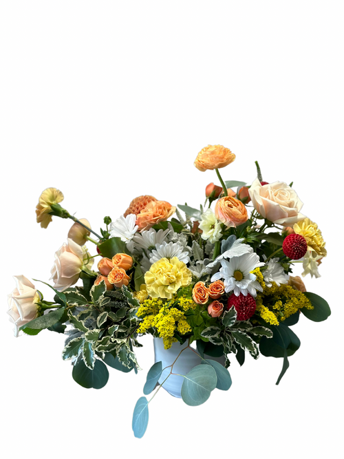 You're Beautiful (Medium Arrangement)